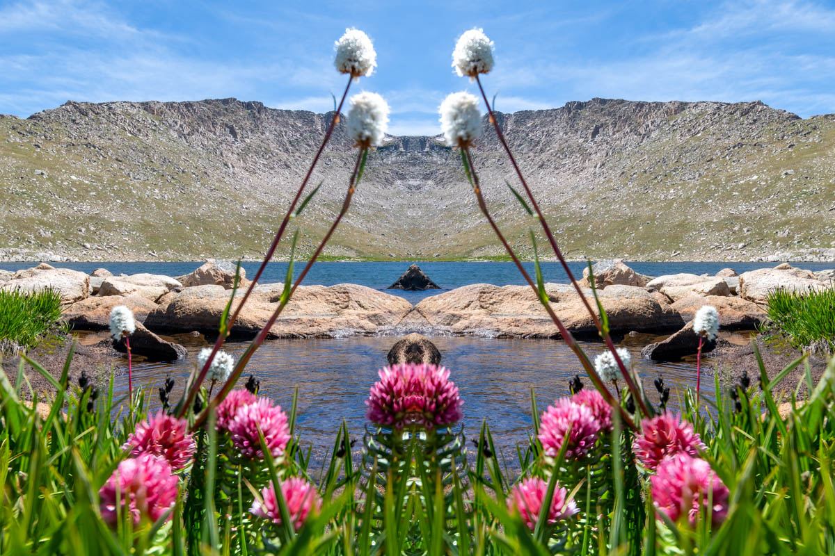 PhotoFovea Envision — vision and reflection in photographic artistry