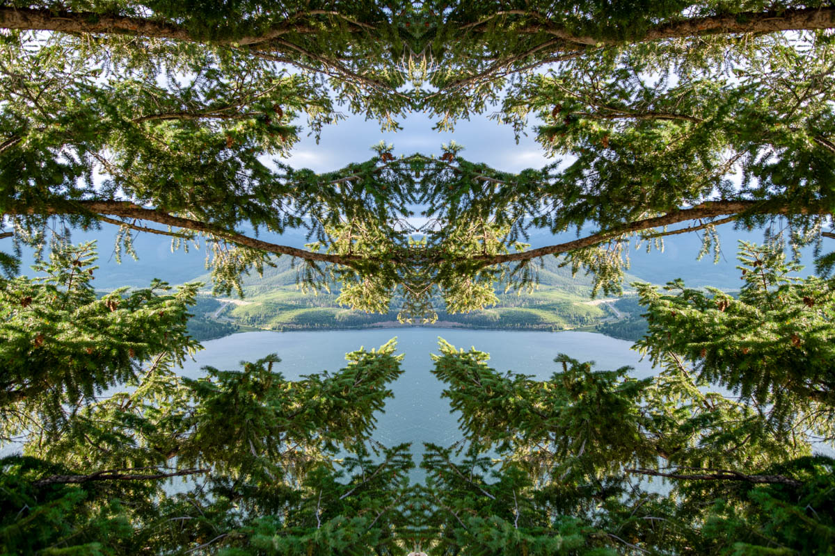 PhotoFovea Learn — the study of photography foundations