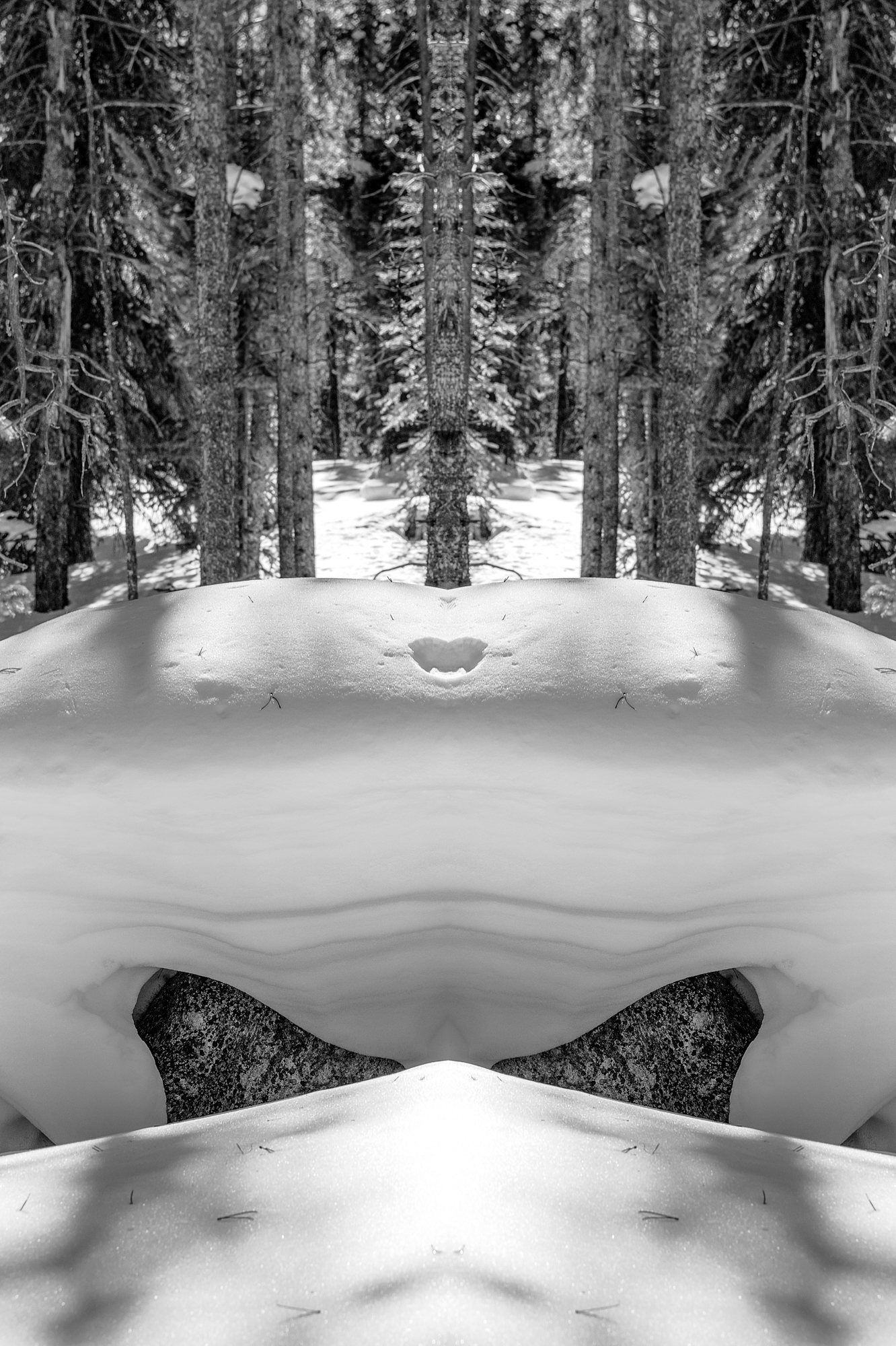 Monochrome fine art photograph — Ecliptic Silence