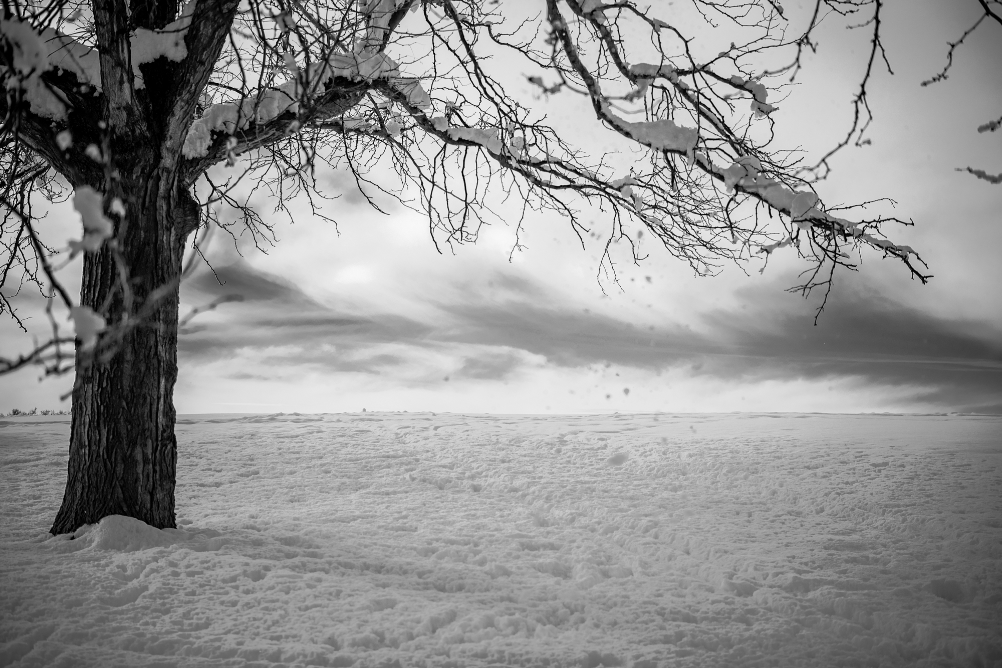 Solitude in Winter — monochrome fine art