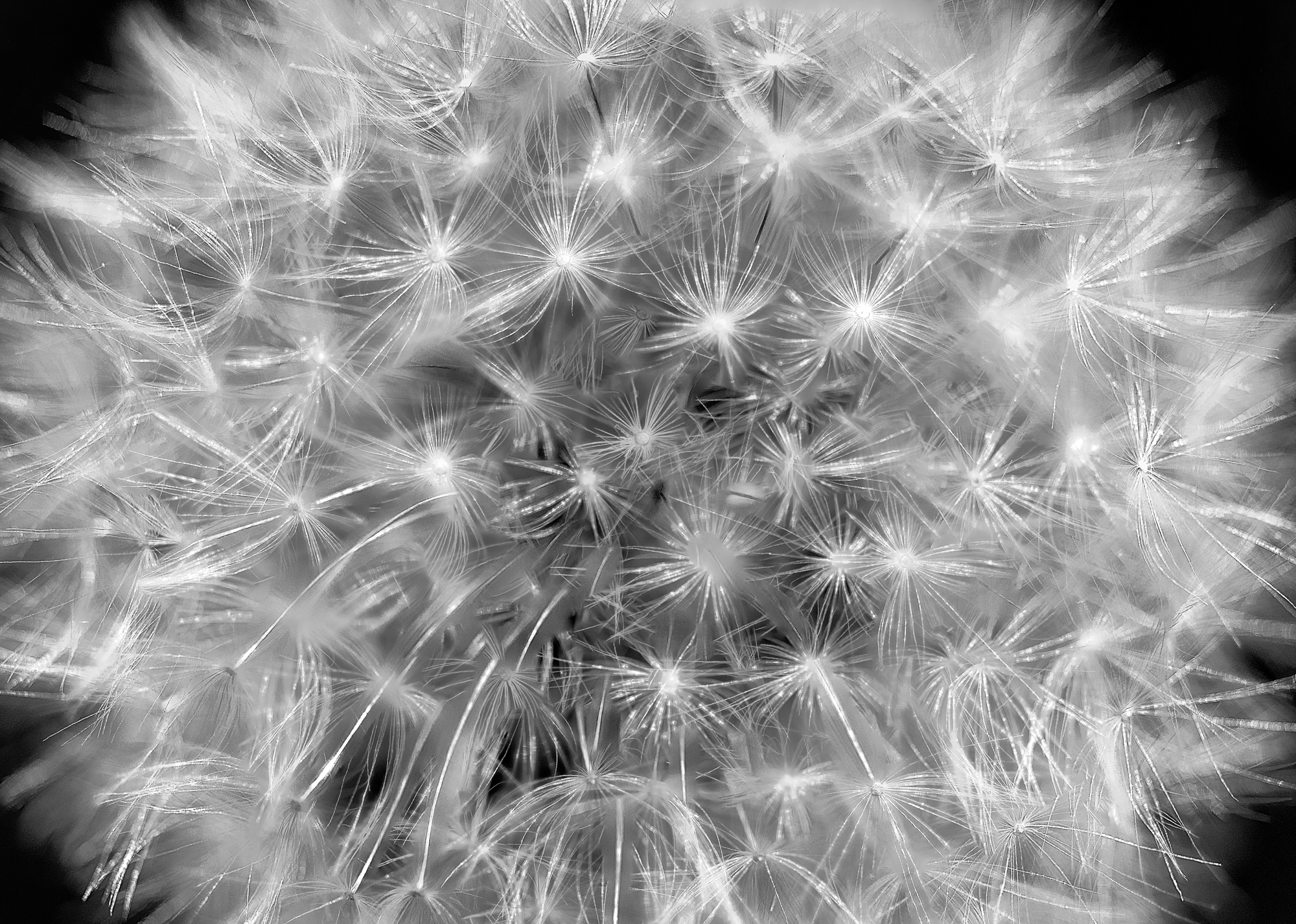 Monochrome collection — tone, contrast, and emotion