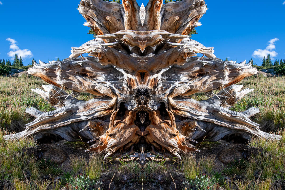 Handcrafted fine art photography prints by PhotoFovea