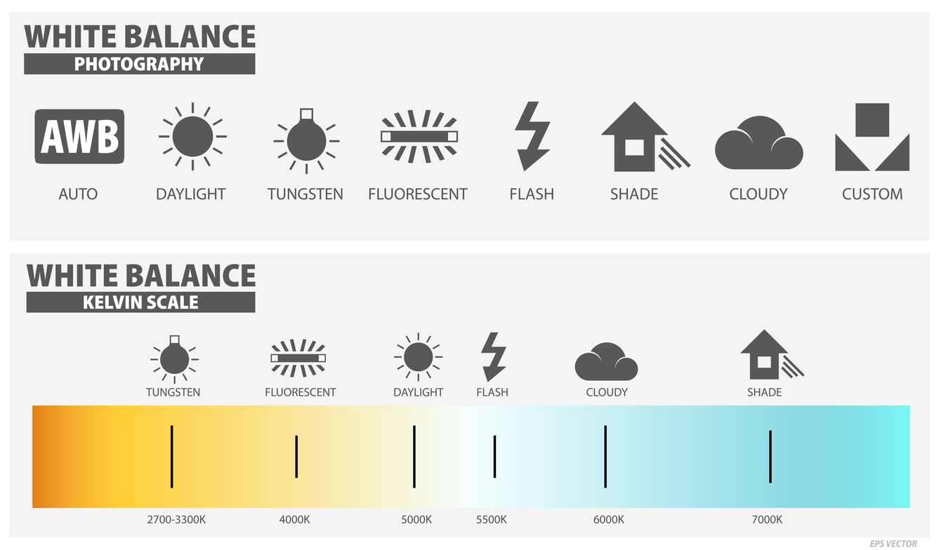 White balance color temperature guide with warm and cool tones shown in an editing workflow