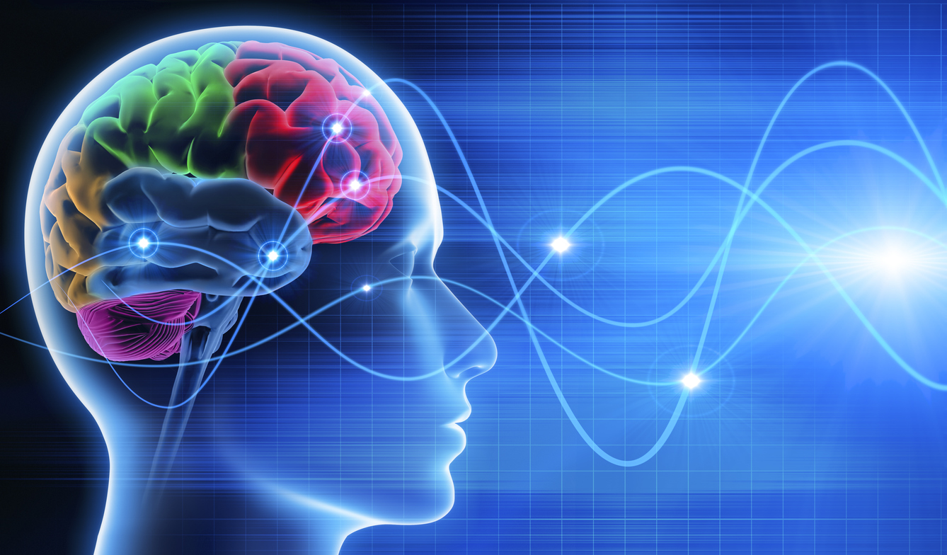 Gestalt principles in photography illustrated through visual grouping and figure-ground separation within a photographic frame.